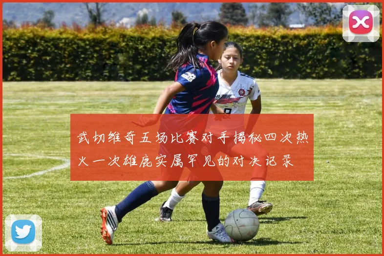 武切维奇五场比赛对手揭秘四次热火一次雄鹿实属罕见的对决记录