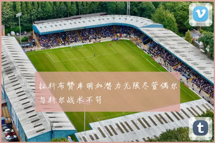 拉科布赞库明加潜力无限尽管偶尔与科尔战术不符